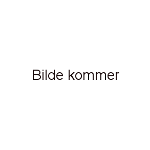 Solcelle anlegg for Hus og hytter